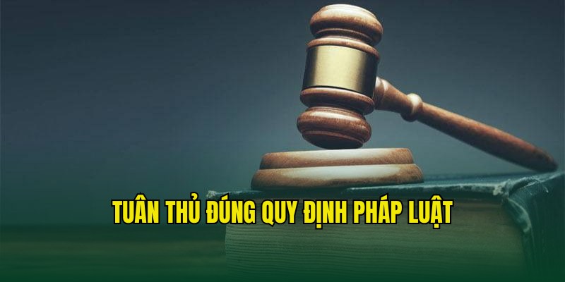 Người dùng có trách nhiệm tuân thủ đúng pháp luật địa phương