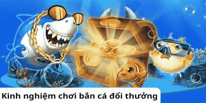 Bắn cá bơi theo đàn để thu tiền thưởng lớn