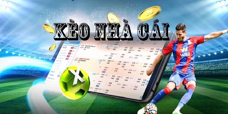 Kèo nhà cái New88 mang đến cho bạn đa dạng sự lựa chọn